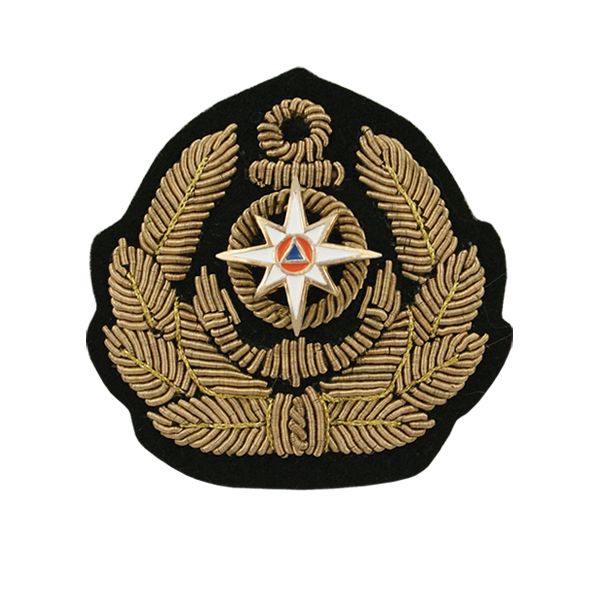 Кокарда канит. лат. ГИМС (по образцу ФМ-305) с мет. вставкой