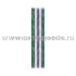 Лента к медали Дмитрий Бибиков (ФТС) С-6800