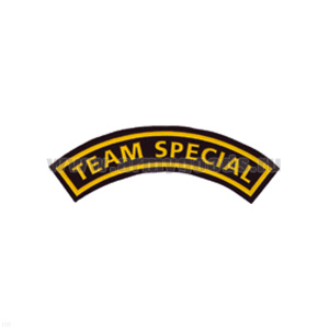 Нашивка на рукав дугов. пластизол. Team Special