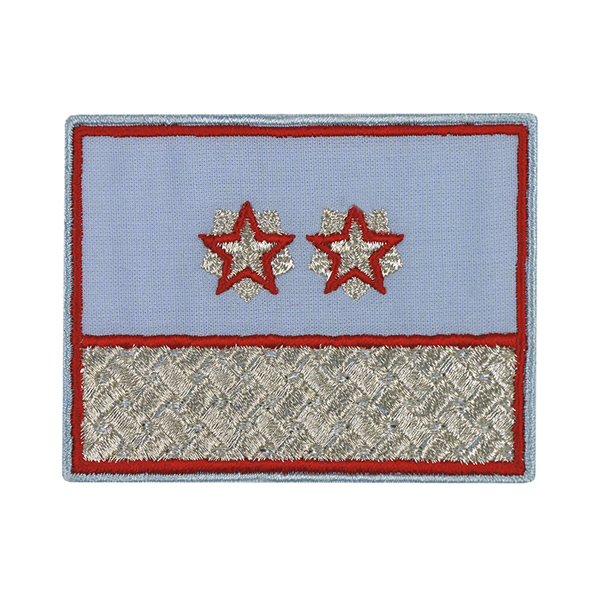 Нагрудный знак вышит. РЖД (голубой) для высшей категории 2 уровня (2 звезды)