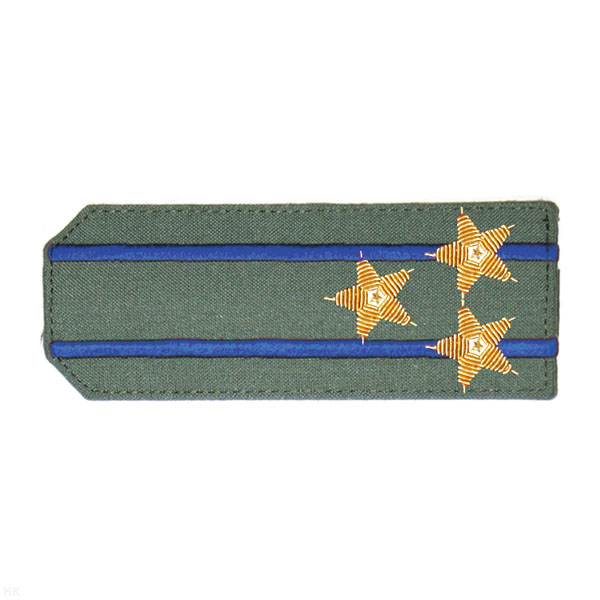 Погоны из рубаш. ткани оливк. с вышит. 2 вас. просв., вышит. канителью (полковник)