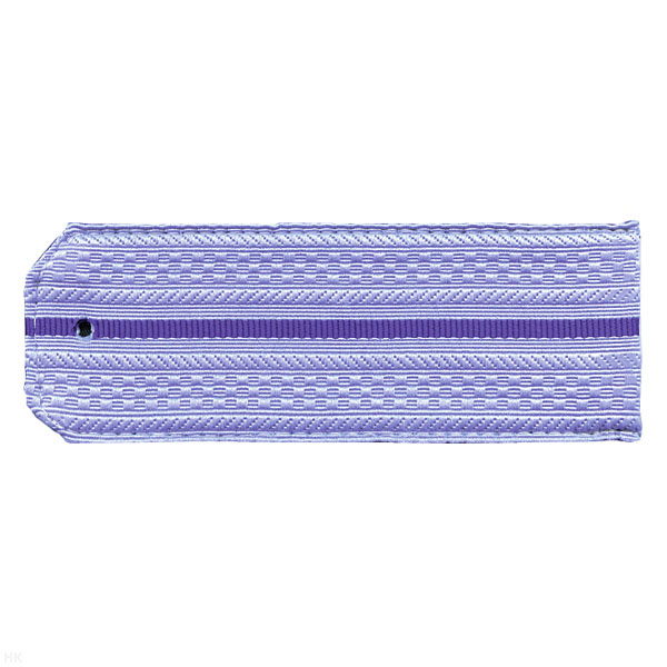 Погоны голуб. 1 вас. пр. (ФСБ нов/обр руб.)