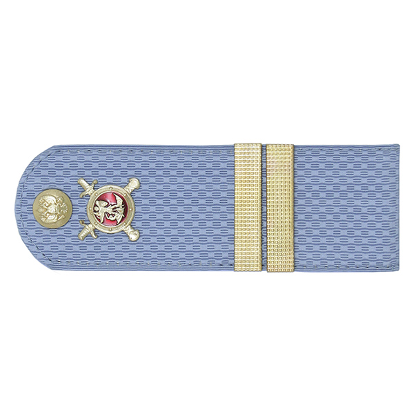 Погоны Полиции (ОВД) на голубую рубашку (без канта), укомпл. мет. фурнитурой (мл. сержант) пластик