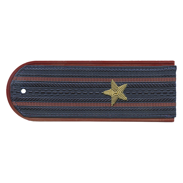 Погоны ФСИН серо-синие с крап. кантом с 2 крап.и просв. на китель, вышит. канителью (майор) на пластике