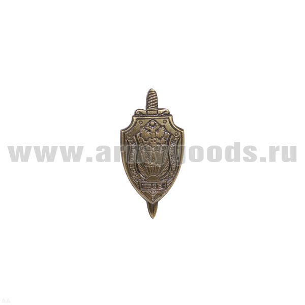 Значок мет. Академия ФСБ России (мал., на пимсе)