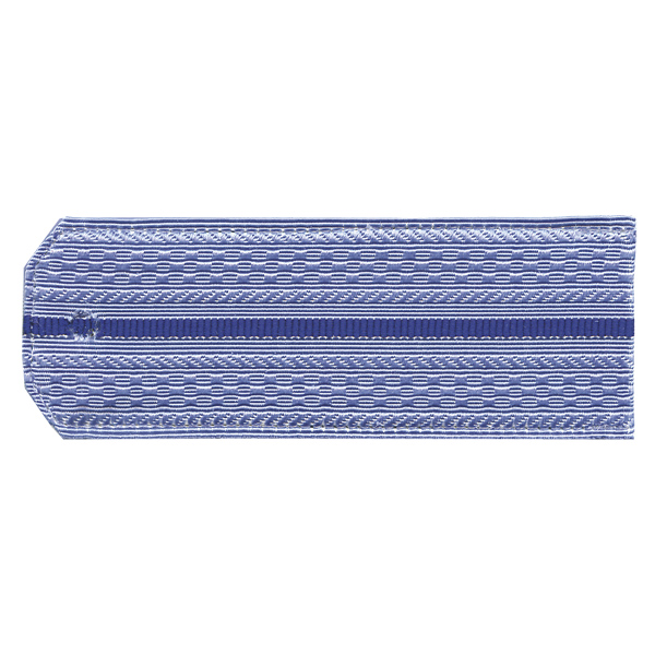 Погоны голуб. 1 вас. пр. (ФСБ нов/обр руб.) на пластике