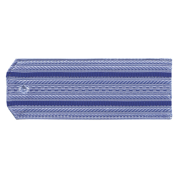 Погоны голуб. 2 вас. пр. (ФСБ нов/обр руб.) на пластике