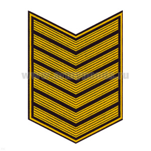 Курсовка пластизол. 7 курс (черн.) галочка (с просветами)