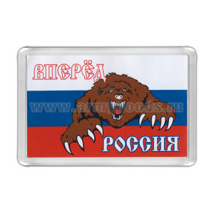 Магнит пластиковый Вперед Россия