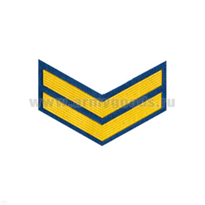 Курсовка пластизол. 2 курс (голуб.)