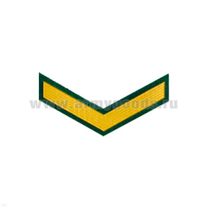 Курсовка пластизол. 1 курс (зел.)