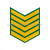 Курсовка пластизол. 5 курс (зел.)