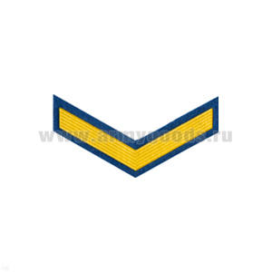 Курсовка пластизол. 1 курс (голуб.)