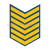 Курсовка пластизол. 6 курс (голуб.)