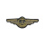 Нагрудный знак канит. лат. ВМФ