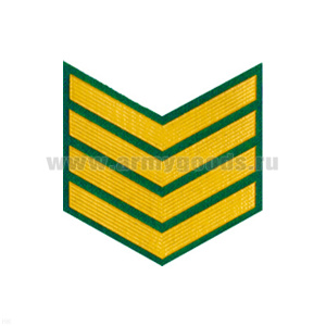 Курсовка пластизол. 4 курс (зел.)