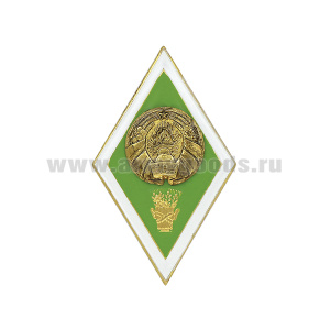 Значок мет. Ромб РБ Высшее сельскохозяйственное образование (латунь, хол.эм. с накладкой) эконом