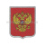 Шеврон тканый Юнармия (орел РФ) 100х75 мм
