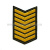 Курсовка вышит. 7 курс (черн.)