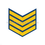 Курсовка пластизол. 4 курс (голуб.)
