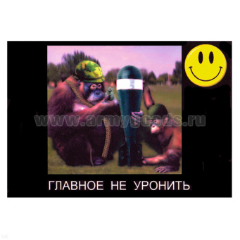 00000038244