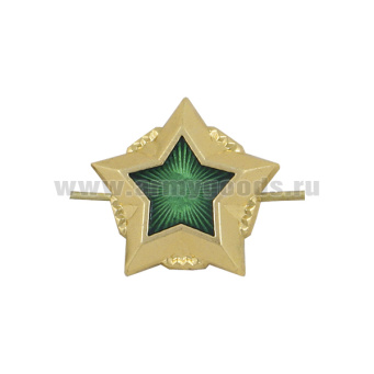 Звезда на погоны мет. 20 мм ФССП (зол. с зел. эмалью)