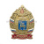 Значок мет. 106 гв. ВДД (серия ВДВ (Россия, лат.)