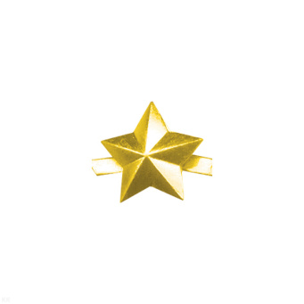 00000003864