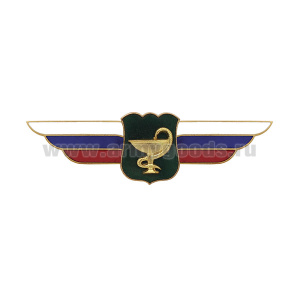 Значок мет. Должностной знак начальника госпиталя, поликлиники, центра, санатория, базы отдыха