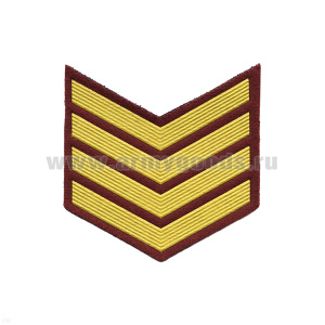 Курсовка пластизол. 4 курс (крапов.) галочка