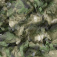 05210016_2 05210016_2