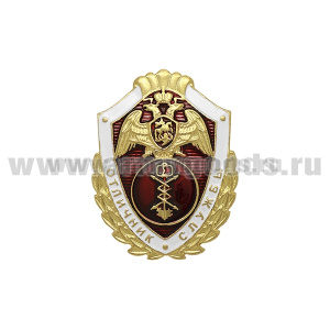 Значок мет. Росгвардия Отличник службы в в/ч связи и автоматизации