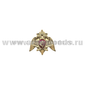 Значок мет. Росгвардия (эмблема на пимсе)