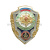Значок мет. Отличник морская пехота