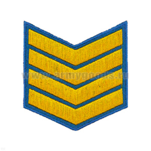 Курсовка вышит. 4 курс (голуб.)
