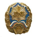 Значок мет. ДМБ Домой! (син.) с подковой