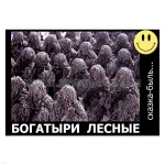 Магнит виниловый (гибкий) со смайликом Богатыри лесные