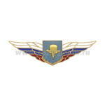Значок мет. Должностной знак командира полка и ему равной воинской части (ВДВ) (№82)