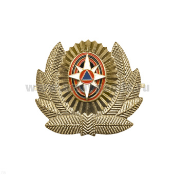 00000003943