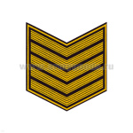 Курсовка пластизол. 5 курс (черн.) галочка (с просветами)