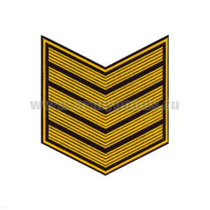 Курсовка пластизол. 5 курс (черн.) галочка (с просветами)