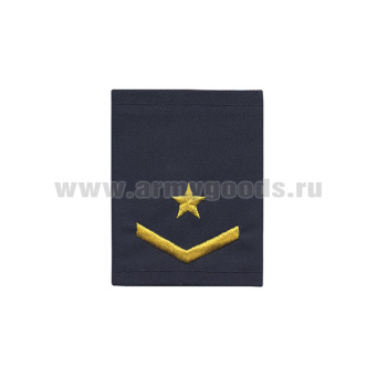 Ф/пог. Метрополитен (синие) вышит. желт. (1 лычка 1 звезда)